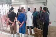 بازدید مدیرکل دامپزشکی کهگیلویه و بویراحمد از کشتارگاه دام دهدشت 