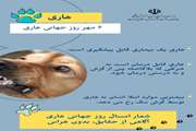 اطلاعیه سازمان دامپزشکی کشور به مناسبت روز جهانی هاری 