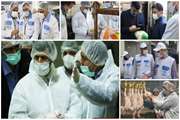 بیش از ۱۷۰هزار بازدید حاصل یک ماه اجرای طرح تشدید نظارت بهداشتی 