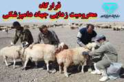 رزمایش مشترک گروه های جهادی 