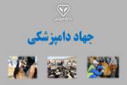 قرارگاه جهاد دامپزشکی کشور رتبه ی برتر هفتمین جشنواره ی مالک اشتررا کسب کرد