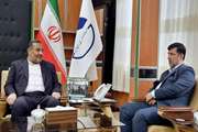 افزایش 38.5 درصدی سطح واکسیناسیون دام و طیور کشور با جهاد دامپزشکی