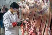 بیش از 217 هزار بازدید حاصل یک ماه اجرای طرح تشدید نظارت بهداشتی