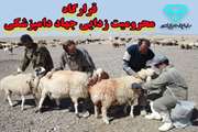 رزمایش جهاد دامپزشکی در مناطق روستایی و عشایری بوشهر،از ۱۹ تا ۲۱ بهمن ماه جاری همزمان با ایام دهه فجر برگزار می‌شود