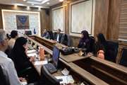 جلسه هم اندیشی و تبادل نظر کارشناسان ارزیابی عملکرد ادارات کل دامپزشکی استانها با گروه ارزیابی عملکرد سازمان دامپزشکی