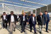 بازدید مدیر کل دفتر بهداشت و مدیریت بیماری‌های طیور سازمان دامپزشکی کشور از واحدهای کشت و صنعت آذربایجان خاوری