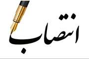 تغییرات در سطوح مدیریتی سازمان دامپزشکی کشور؛ مراسم تکریم و معارفه معاونین «بهداشت، پیشگیری و ایمنی غذایی» و «تشخیص، دارو و مدیریت درمان» برگزار شد