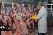 نظارت بهداشتی و شرعی بر ذبح بیش از 31 هزار رأس دام در تاسوعا و عاشورای حسینی