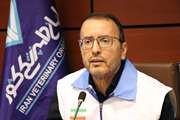 تأمین پایدار گوشت قرمز و مرغ در شرایط جنگی؛ تولید مازاد و ذخایر کافی داریم 