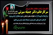 تسلیت درگذشت جانسوز سرکار خانم دکتر سیرتی