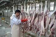 30 اکیپ دامپزشکی بر ذبح دام های قربانی نظارت می کنند