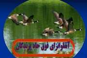 شناسایی یک کانون جدید بیماری بیماری آنفلوانزای فوق حاد پرندگان در استان تهران