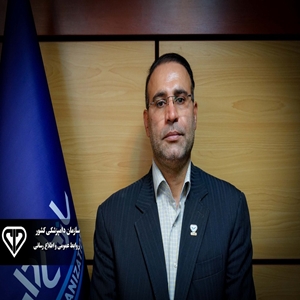 امیر انوری زاده