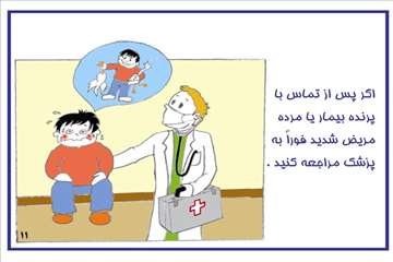 راههای پیشگیری از آنفلوانزای فوق حاد پرندگان