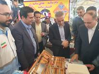 بازدید وزیر جهاد کشاورزی از غرفه دامپزشکی استان تهران در نمایشگاه محصولات کشاورزی و جشنواره سیب شهرستان دماوند