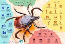 تب کریمه کنگو CCHF