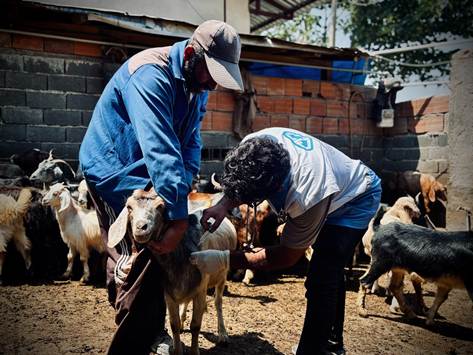 برگزاری اردوهای جهادی دامپزشکی در سراسر کشور همزمان با دهه فجر